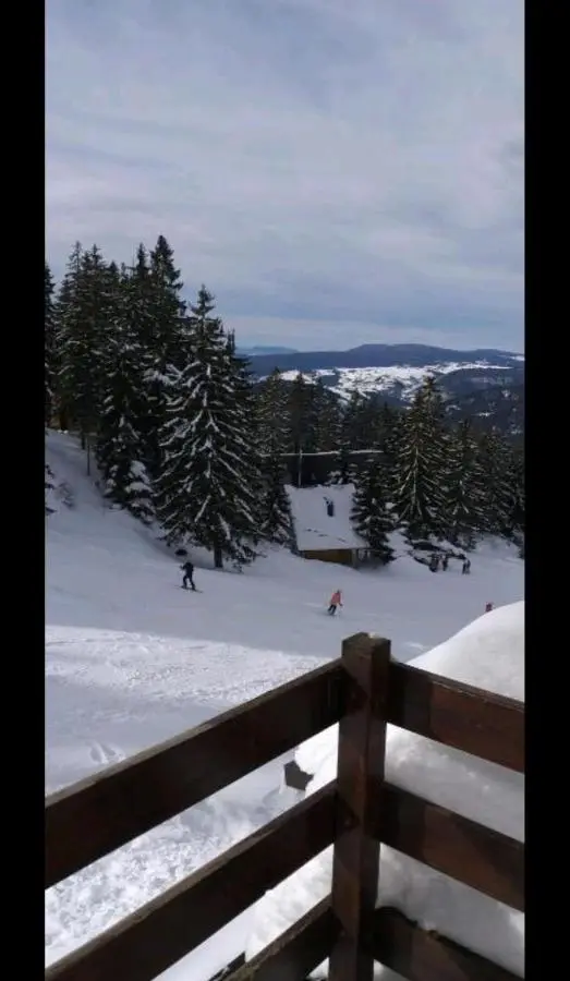 Vlašićka priča Eko Fis