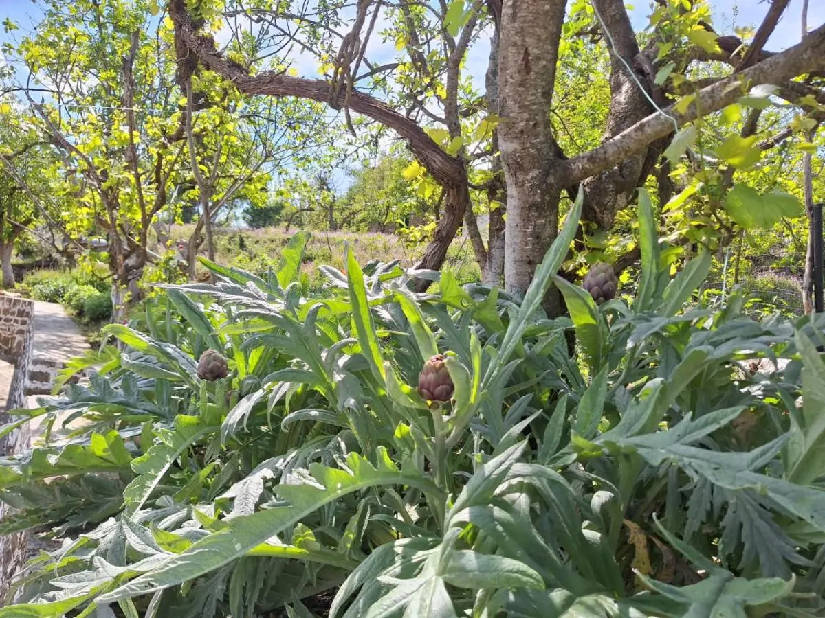 Spring Village Home