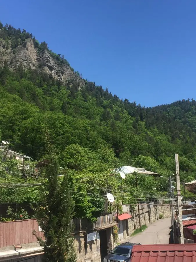Hotel Victoria-Panorama