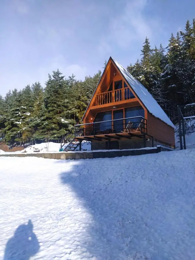 Sno Woodland