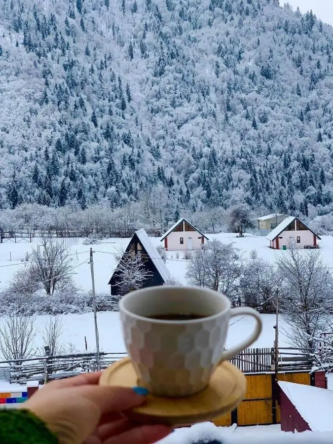 Green Mountain Borjomi