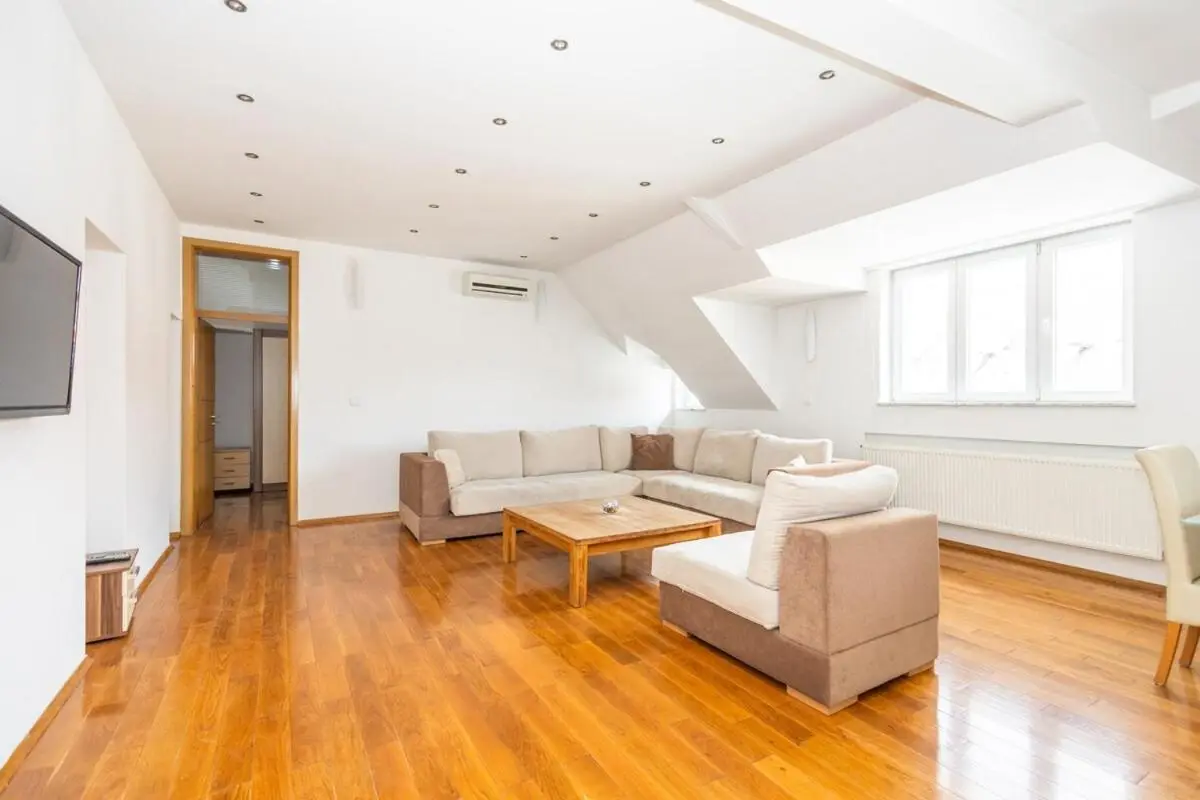 Spacious Apartment in Downtown