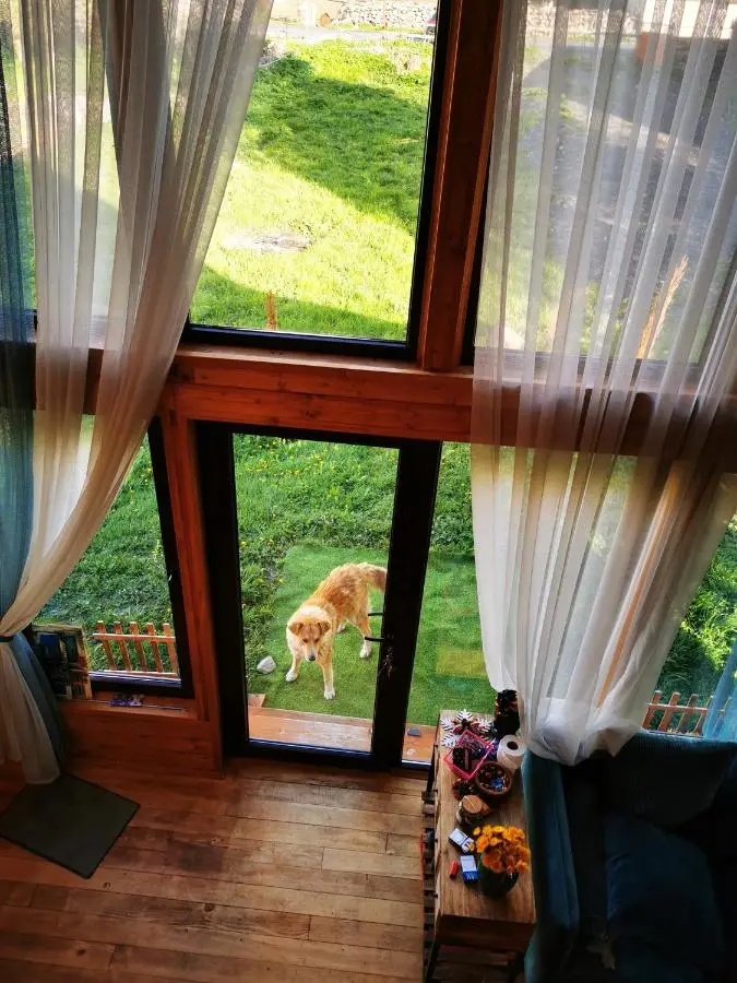 Kazbegi Mountain Cottage MTA-Shi