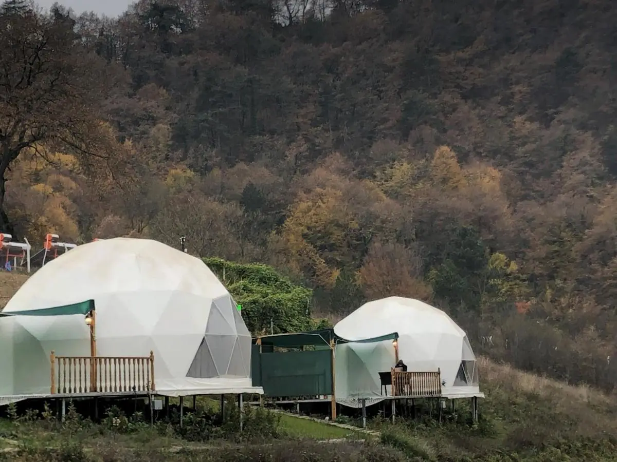 DENGEKORU Wildlife & Glamping