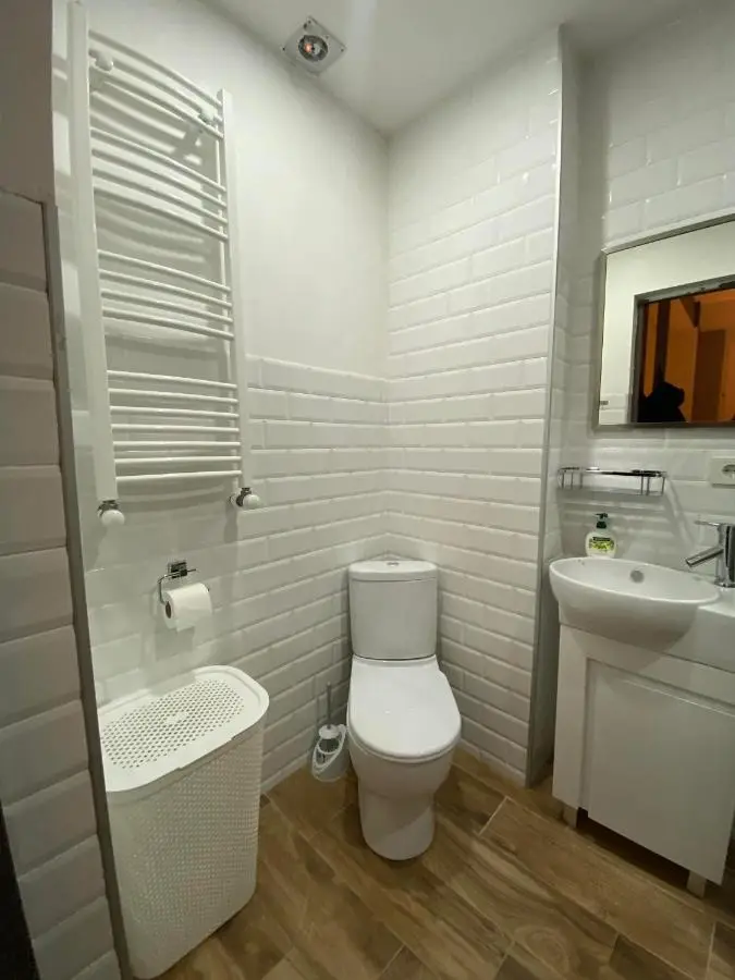 Snow Forest Bakuriani Apartment 10