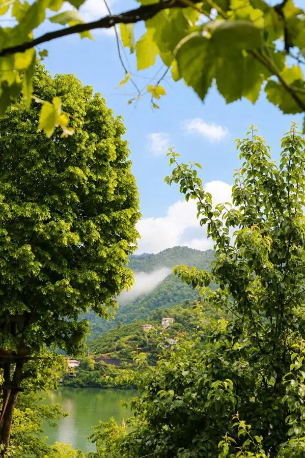 Buneba Resort