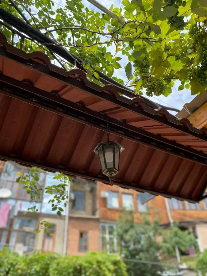 Terrace House Near Opera