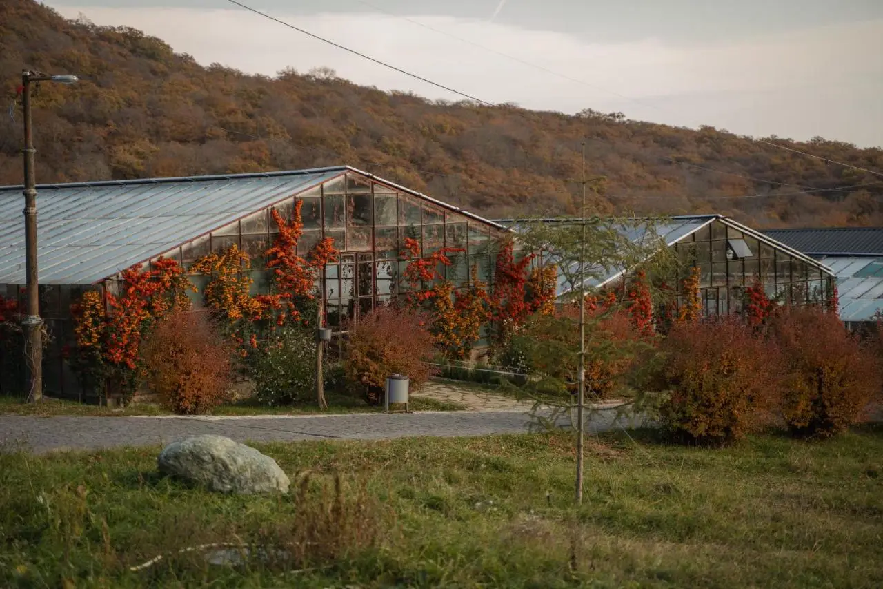 Kiketi Farm