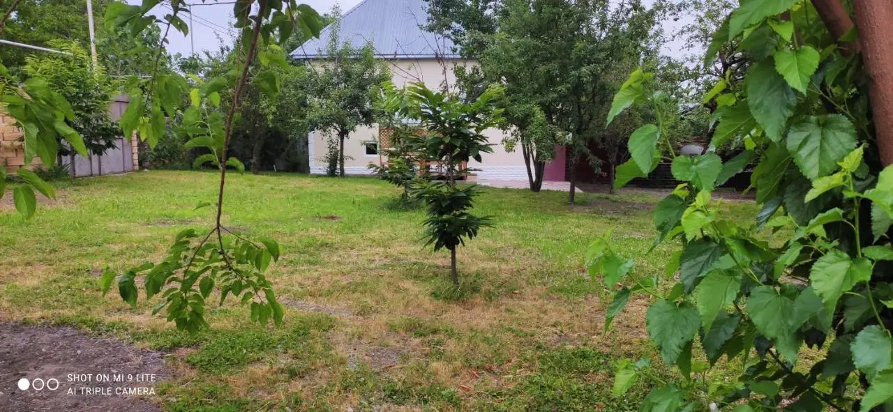 Qabala Villa House Samir