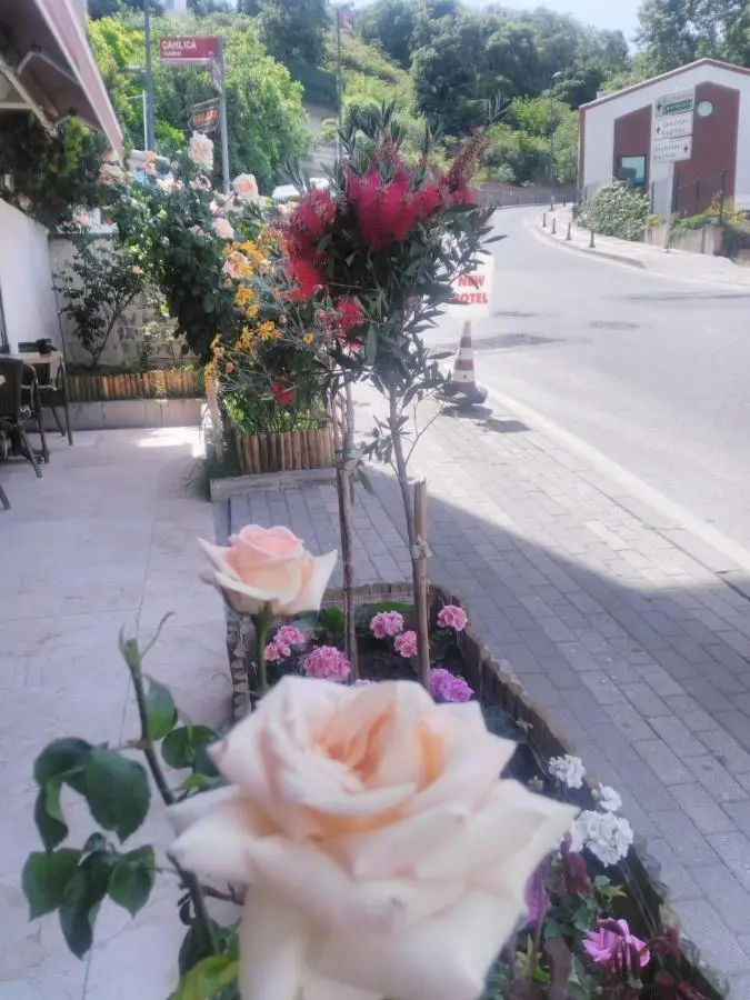 NEW BEYLERBEYİ HOTEL