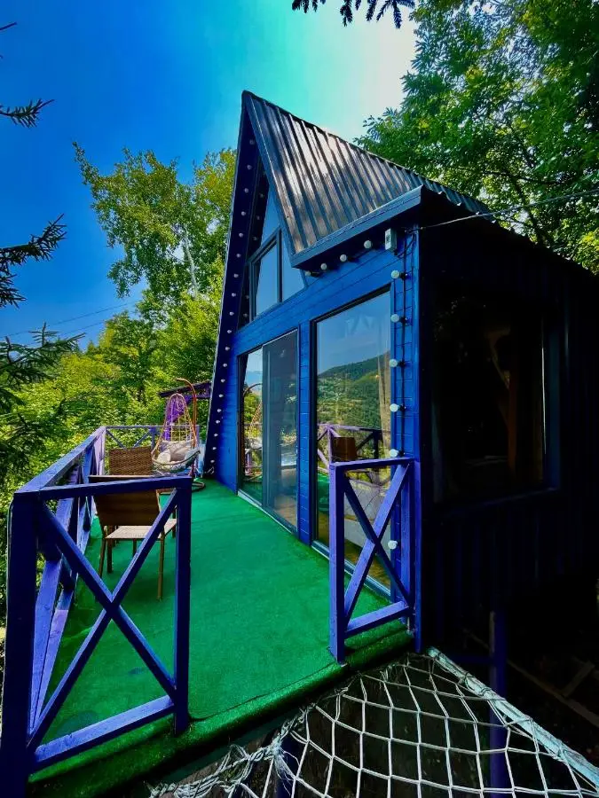 Forest House