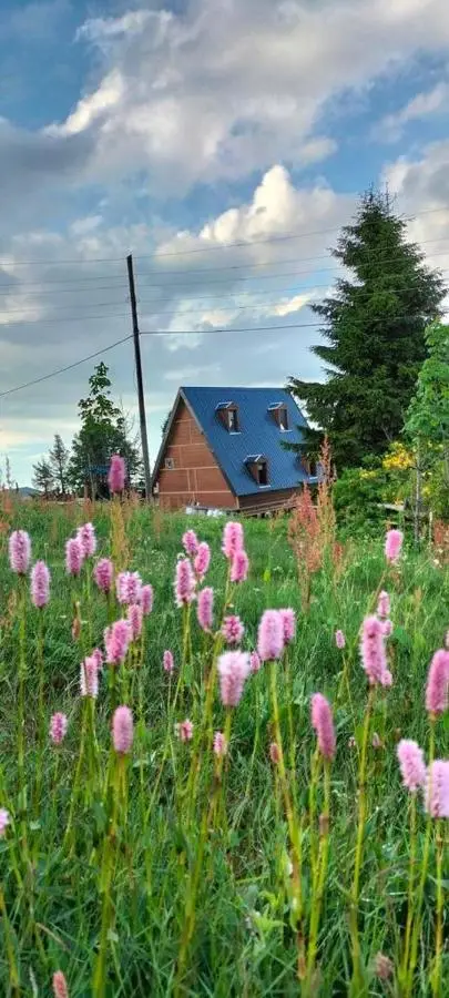 Zifinbungalov