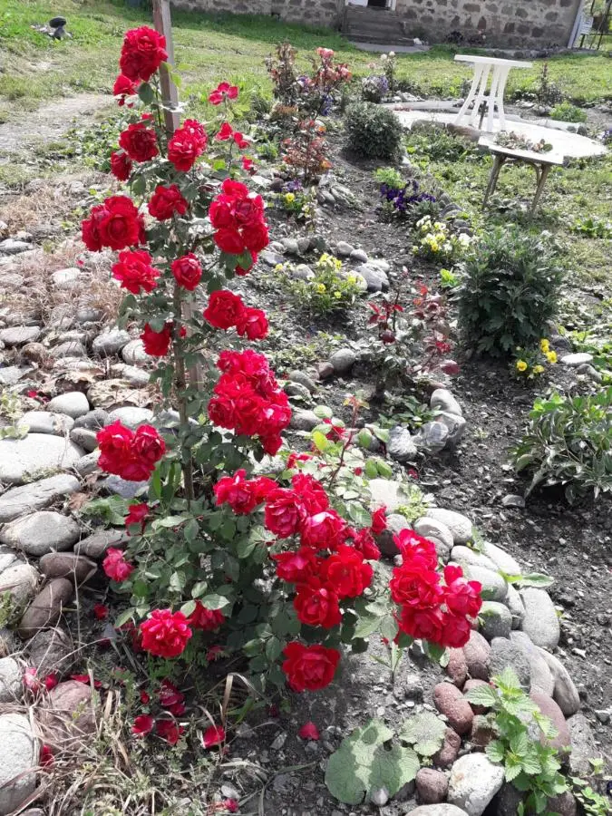 Kazbegi Guest House
