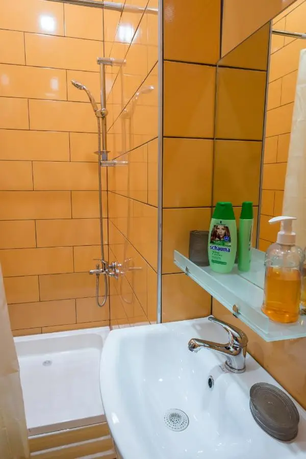 Vakhtang Gorgasali apartment