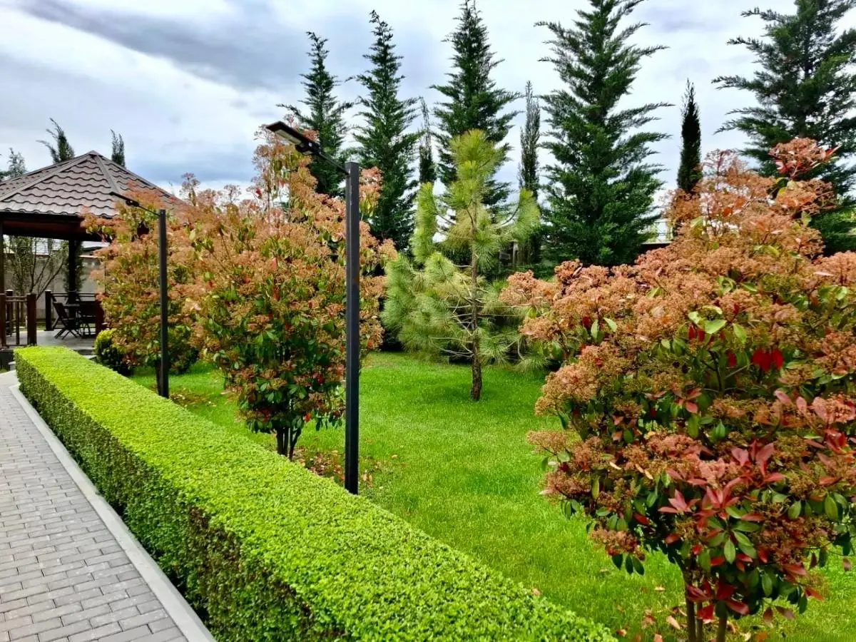 Villa Lux in Quba