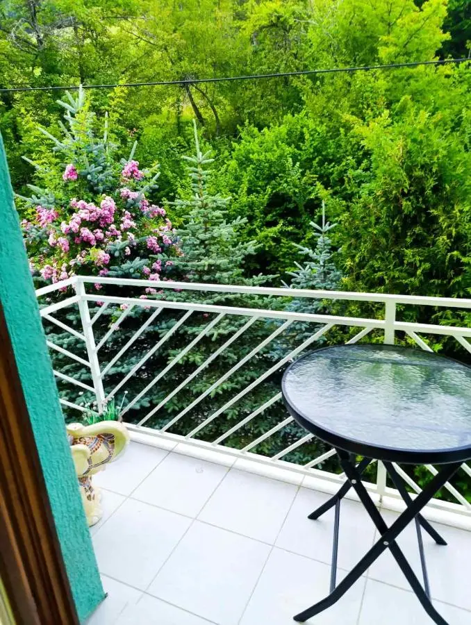 House Sarajevo
