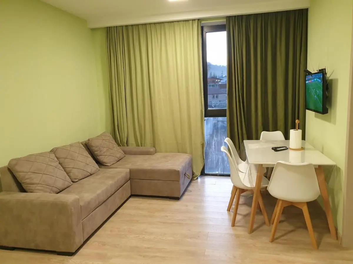 Bakuriani M25, Apartment 405