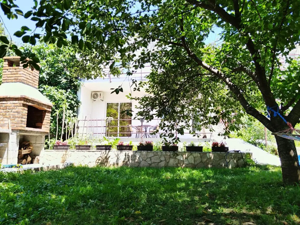 Apartments Pasha