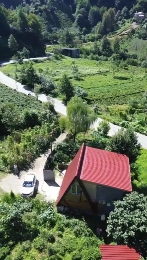 bera bungalov suit