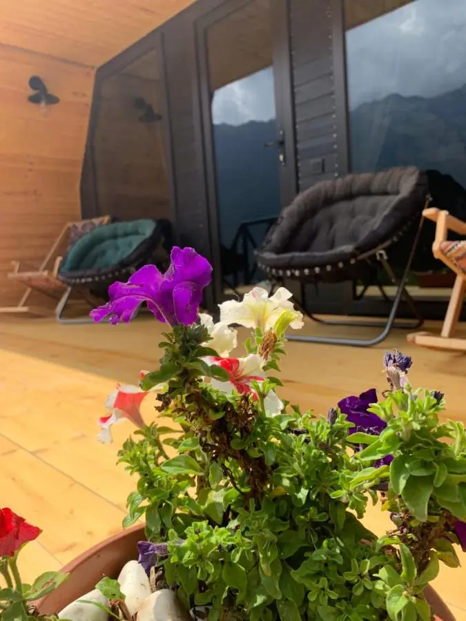 View Cottage
