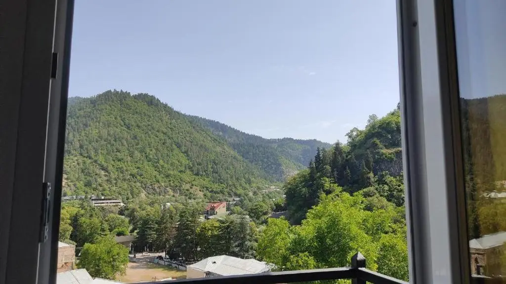 Borjomi Nest
