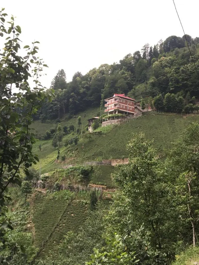 Gunguli Pansiyon