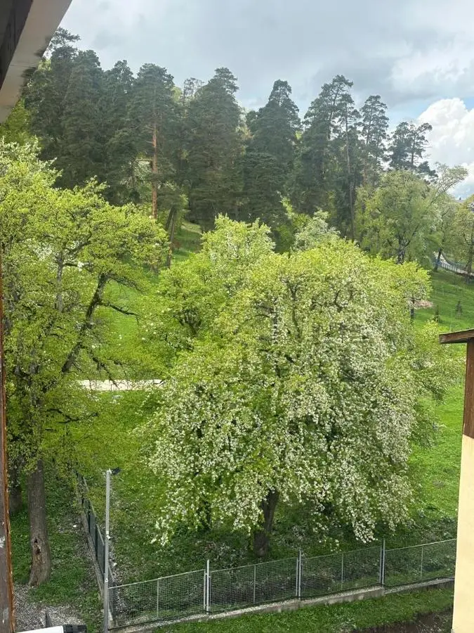Hillside Bakuriani