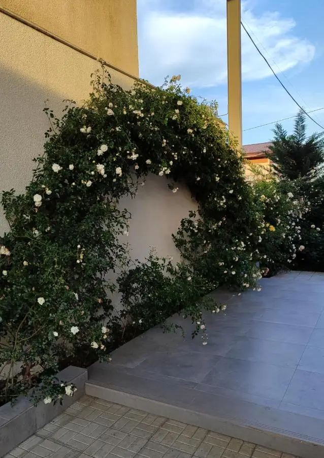 Veronika Home Tbilisi