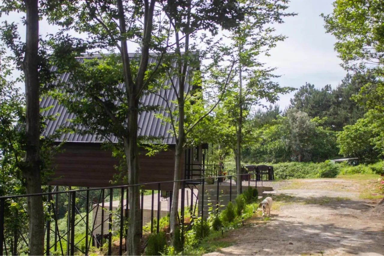 Cottage KOLKHA