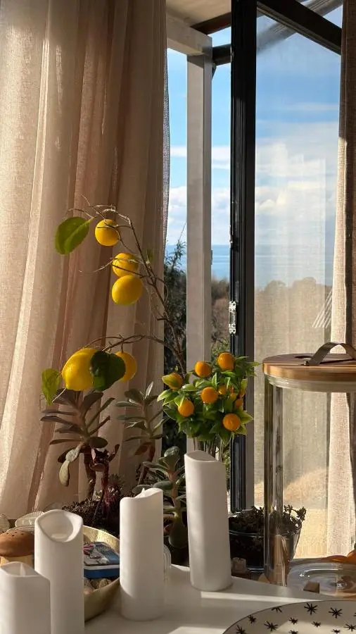 Limonura