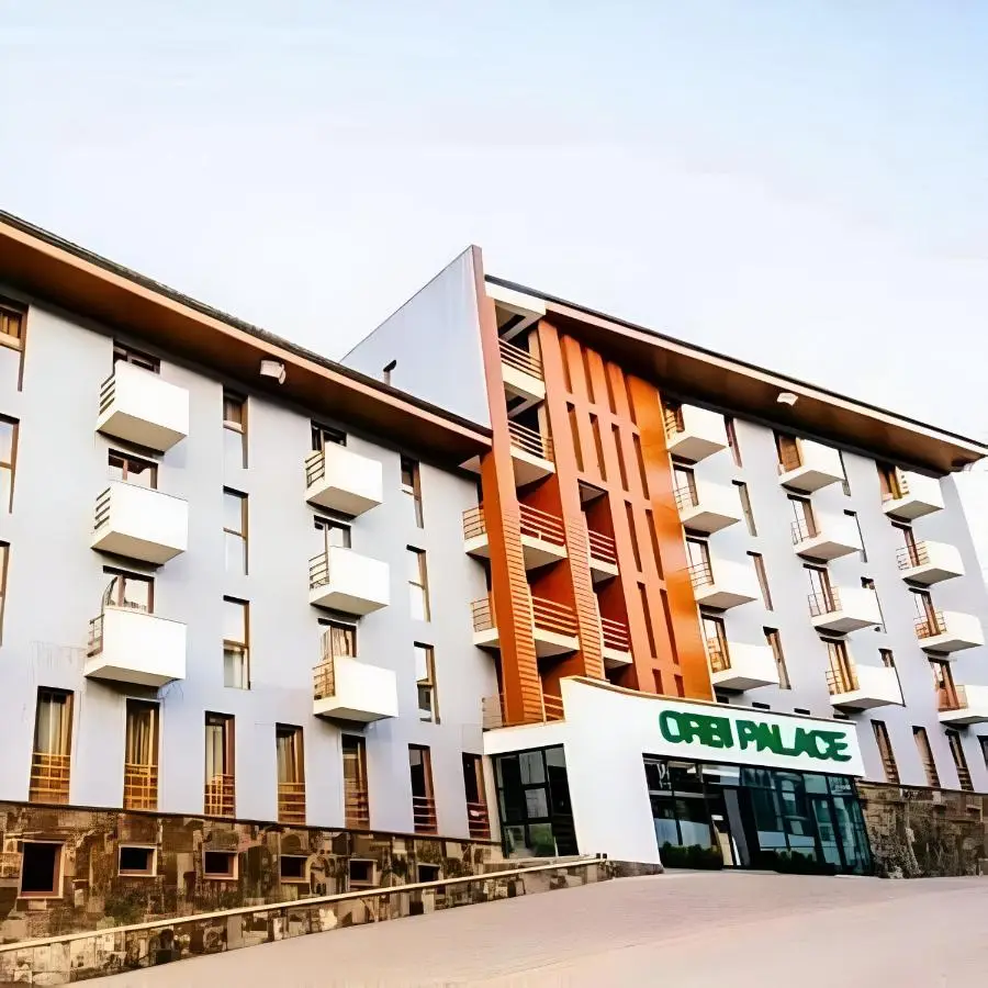 Orbi Palace Bakuriani 101