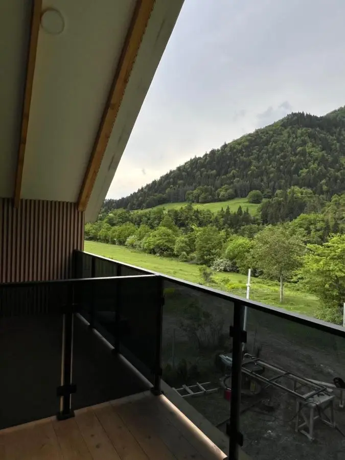 MTA house - Borjomi