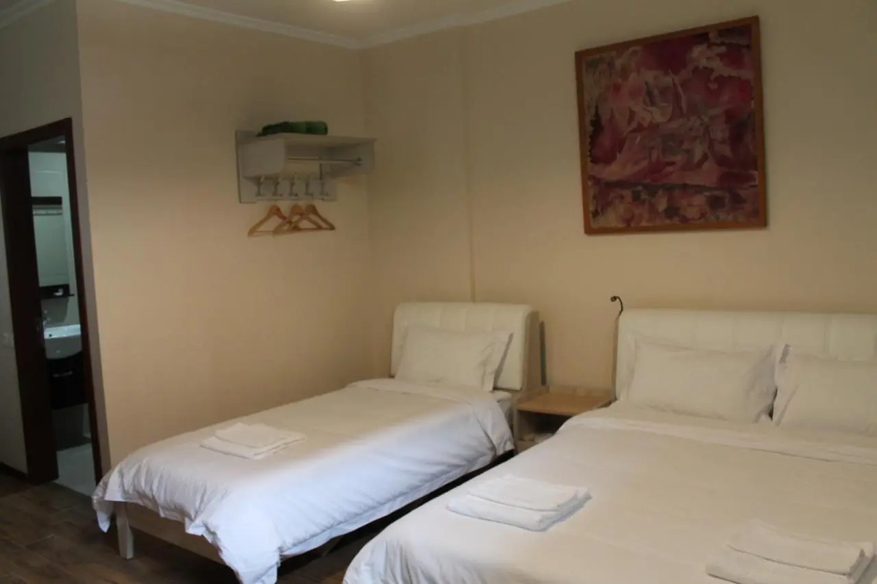 Hotel Sani Kutaisi