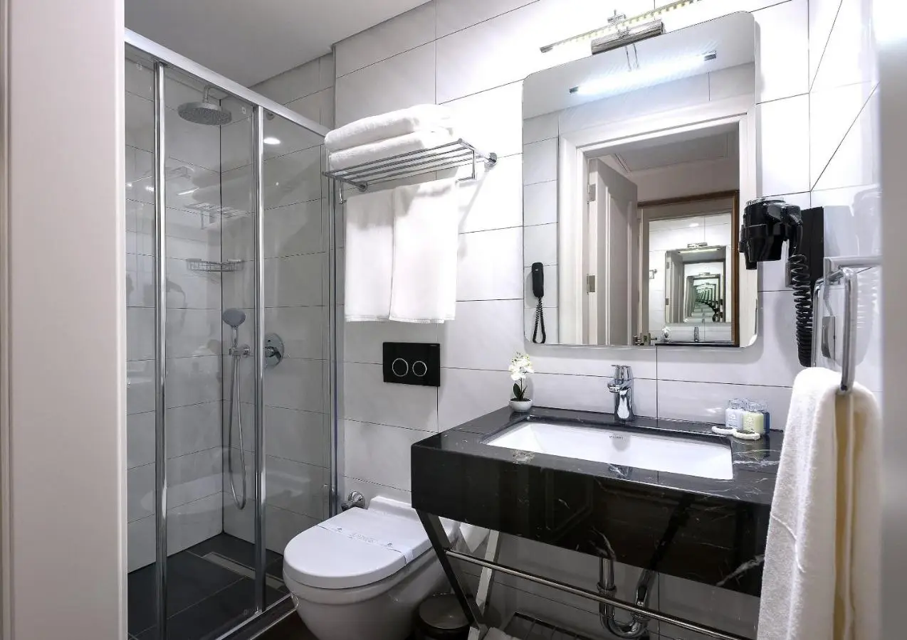 Le Petit Palace Hotel - Special Category