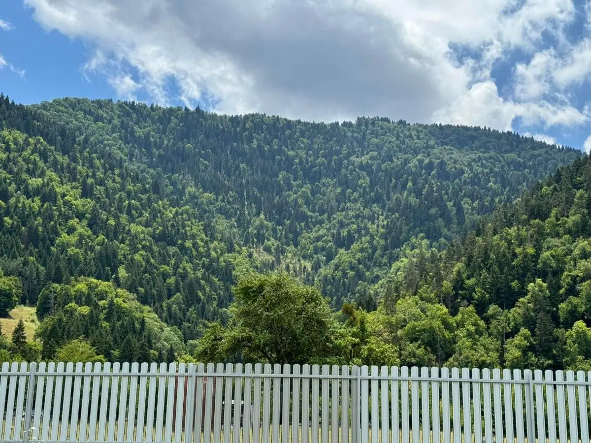 Buddy House Borjomi