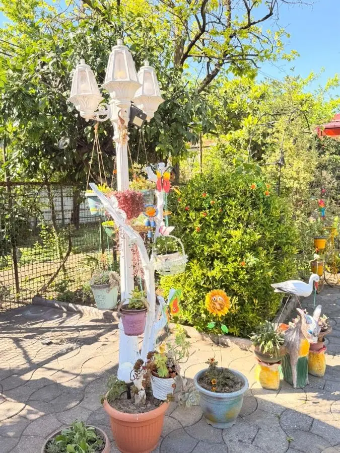 Sunny Flower
