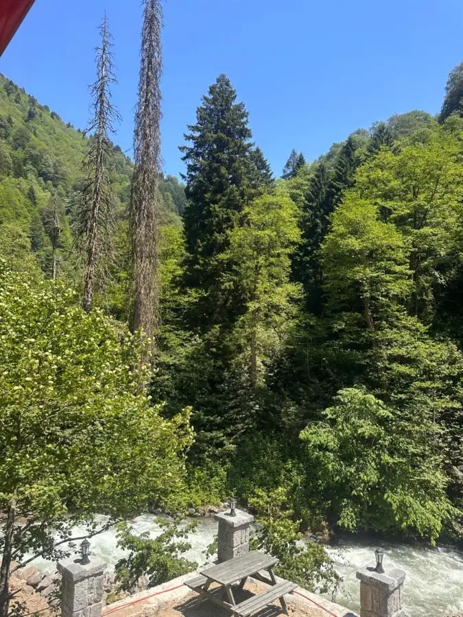 Ayder Gencal Villa