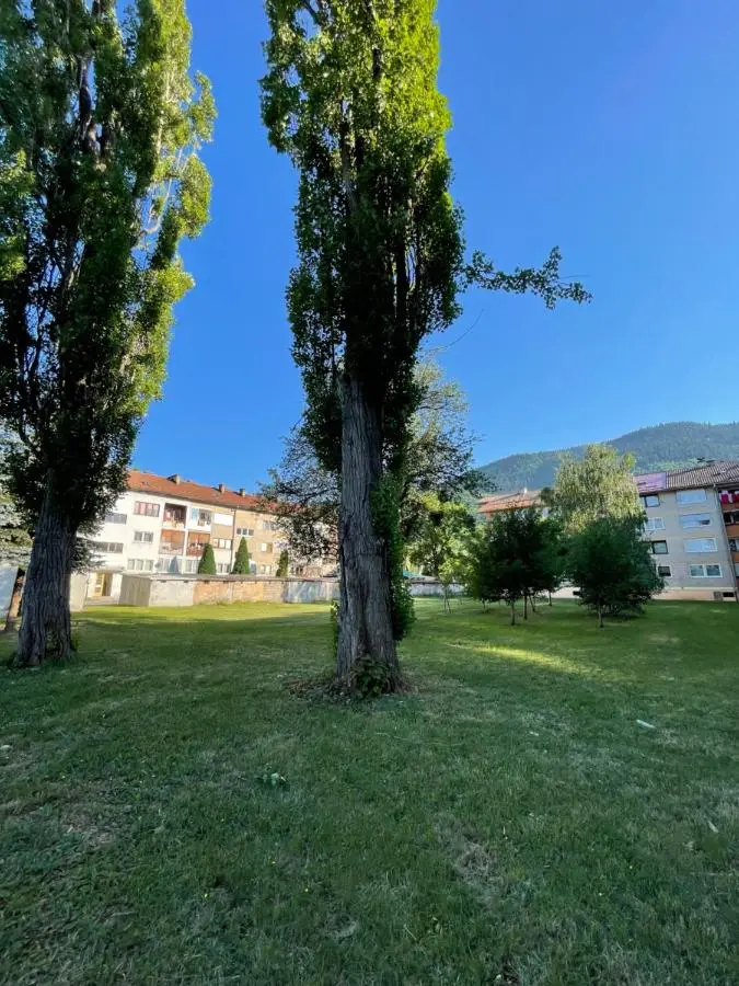 Apartment Azra