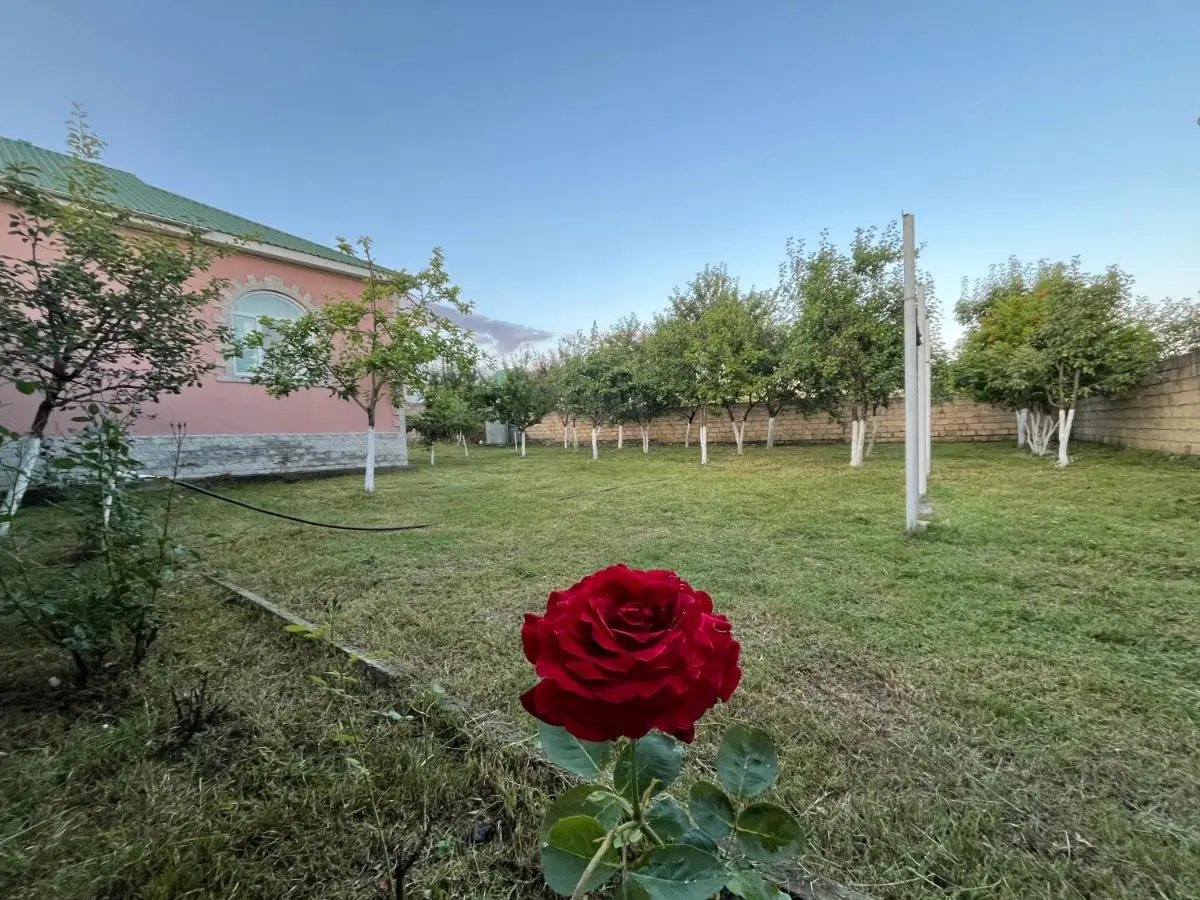 Gabala Home