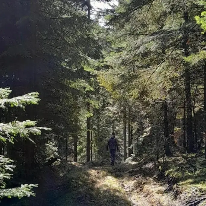 Koliba Ravna planina