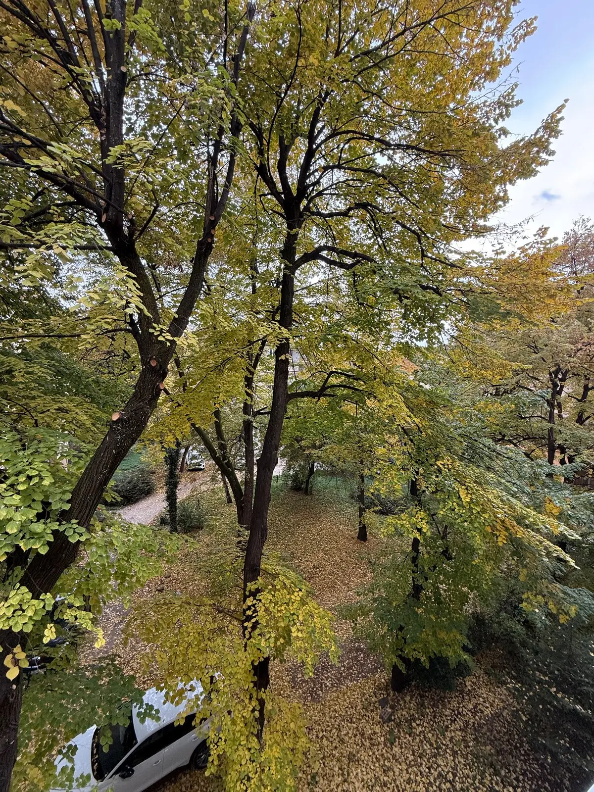 Cozy & Green – Sarajevo City Center