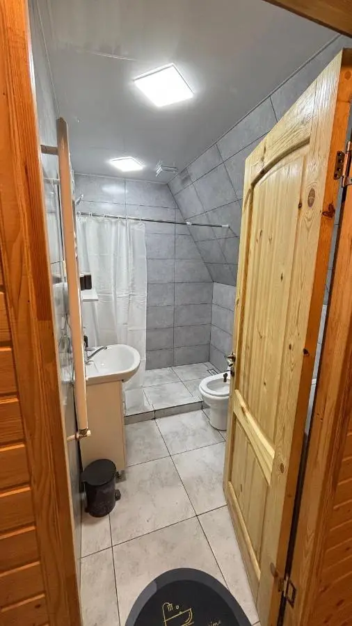 Wood cottage in Borjomi