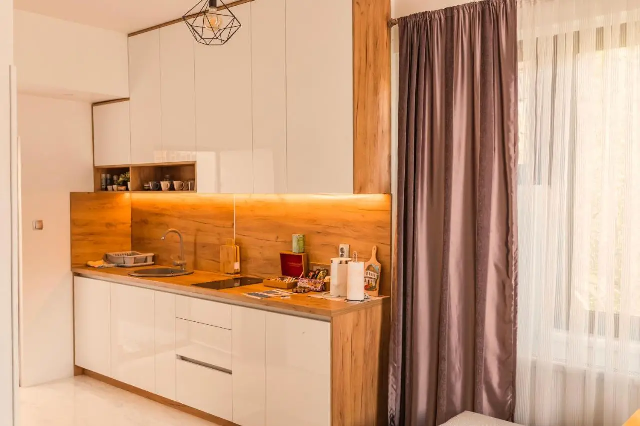 Downtown Apartment Travnik