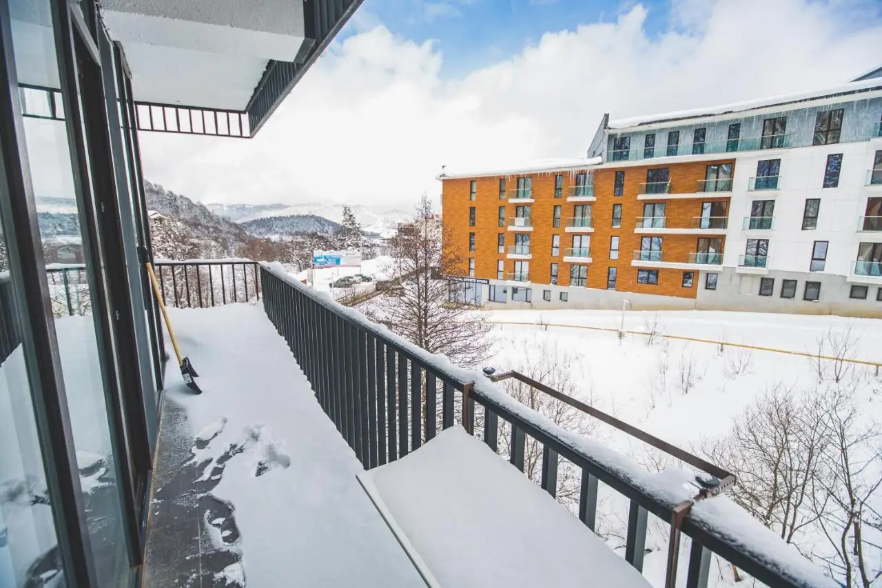 Perfect studio near Didveli ski area