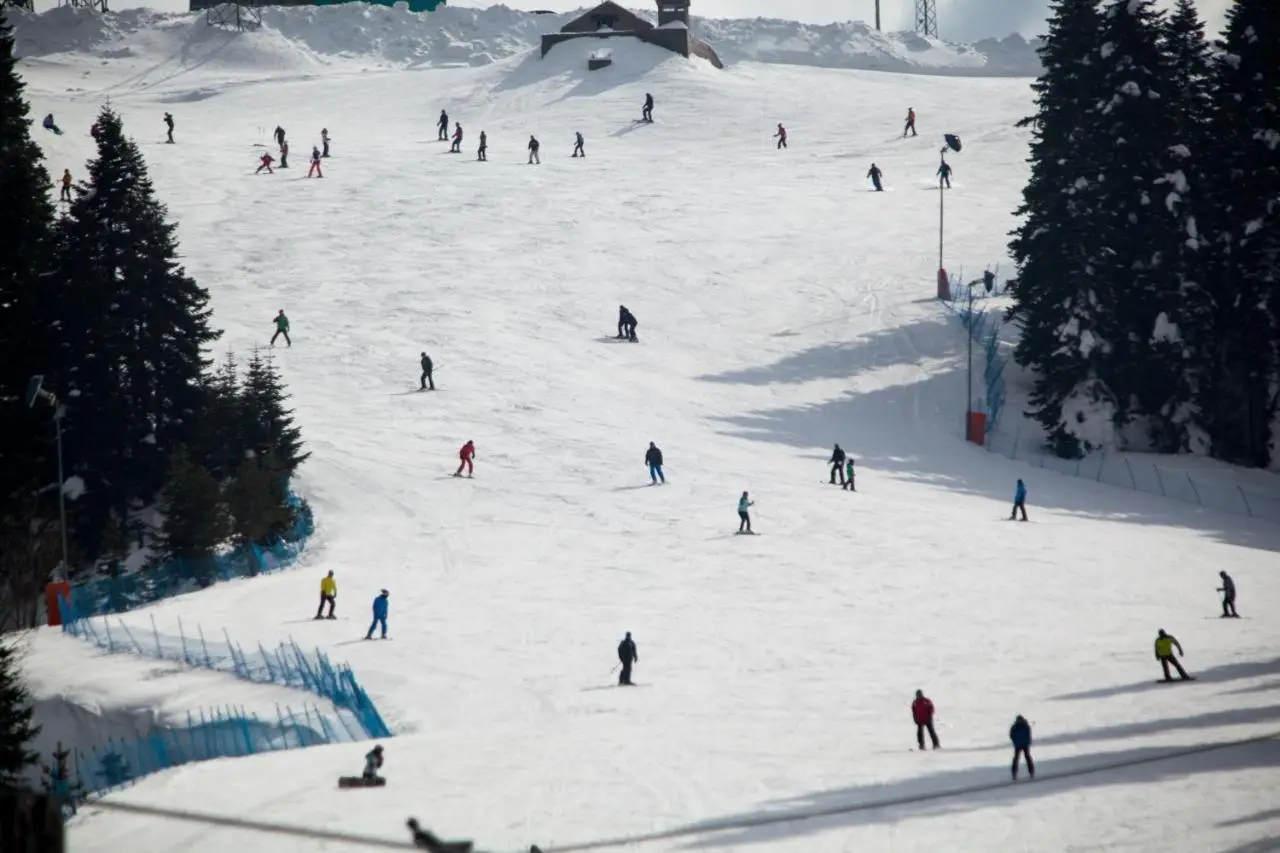 Ilgaz Mountain Resort Hotel