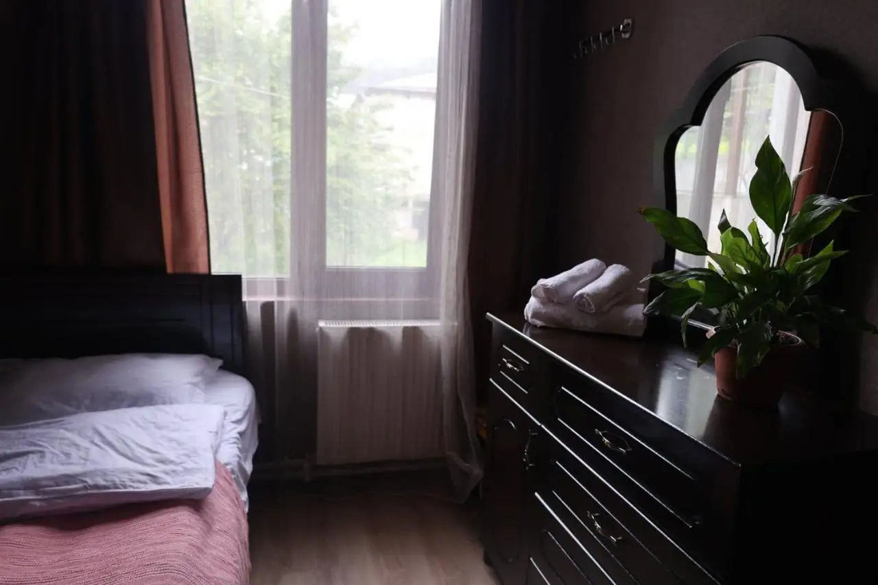 Guest House Metreveli