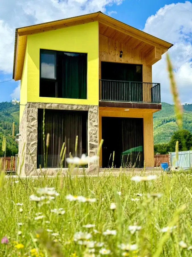 Buddy House Borjomi