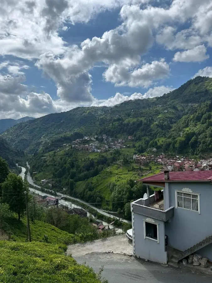 Puleri Dağevi&BUNGALOW