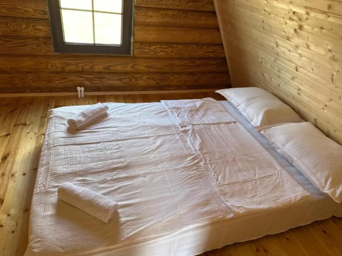 VIP-comfort BORJOMI