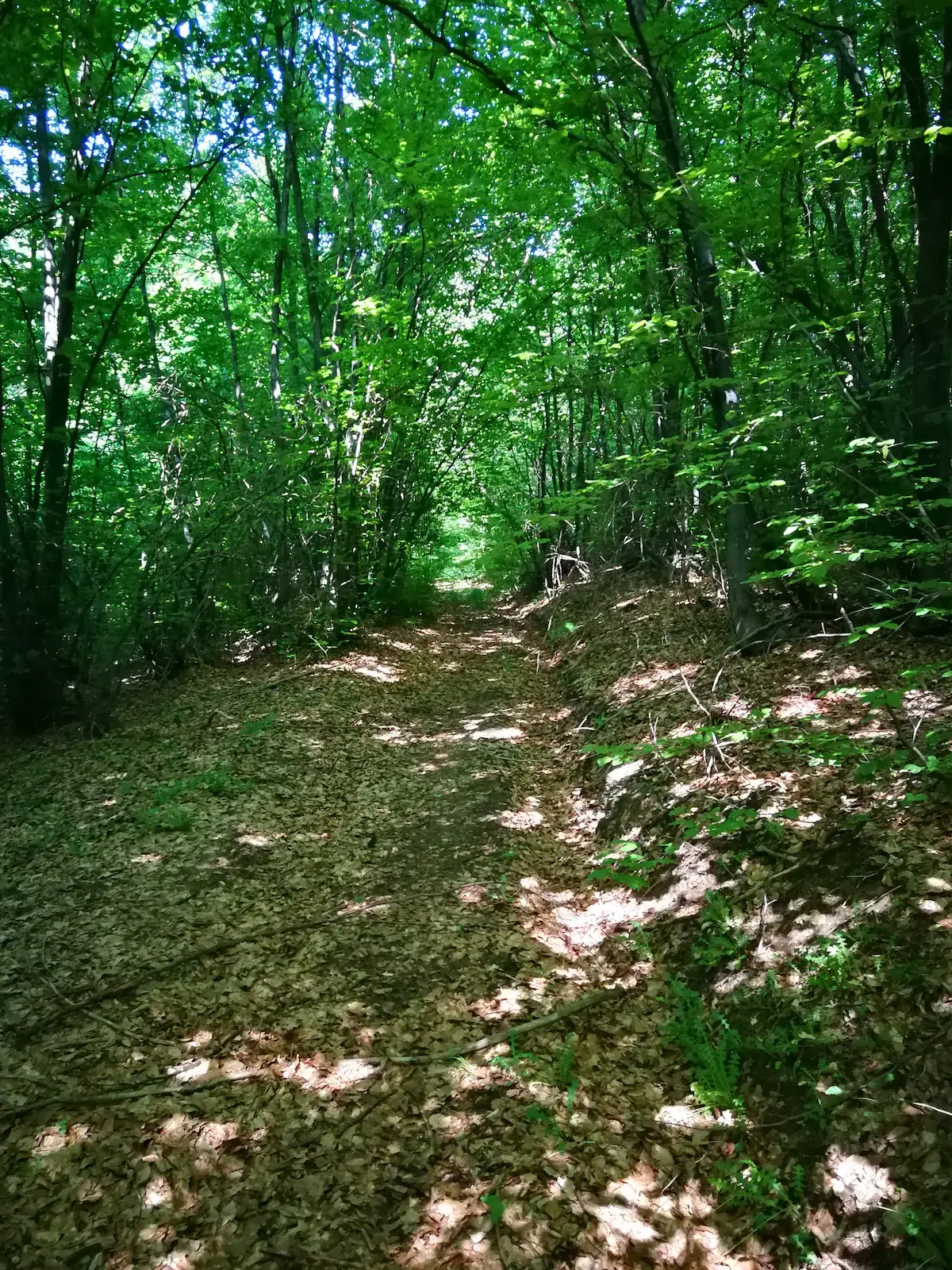 Green Idylle-PYramide View